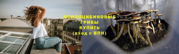мяу мяу кристалл Переславль-Залесский