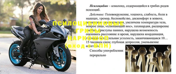 мяу мяу кристалл Переславль-Залесский
