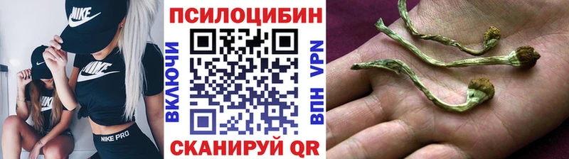 Псилоцибиновые грибы мухоморы  Тавда 